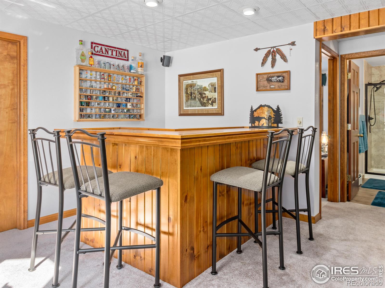 MLS Image #23 for 3807  dollar lake drive,estes park, Colorado