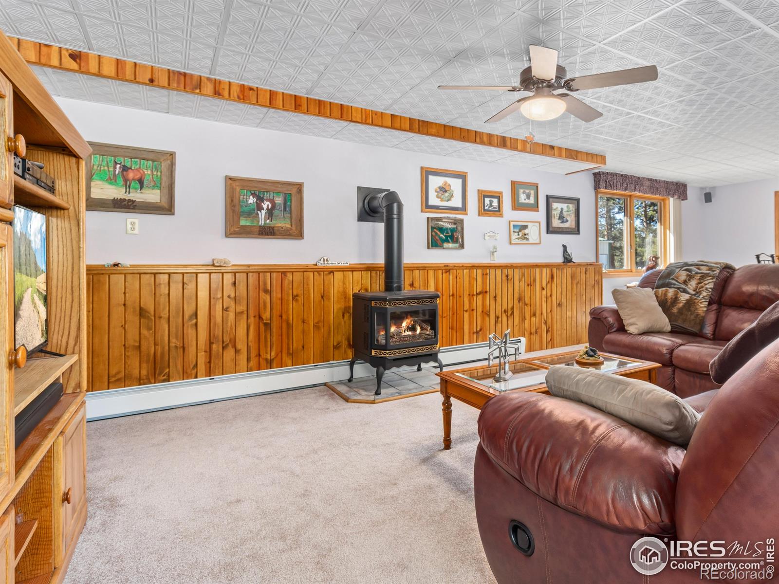 MLS Image #25 for 3807  dollar lake drive,estes park, Colorado