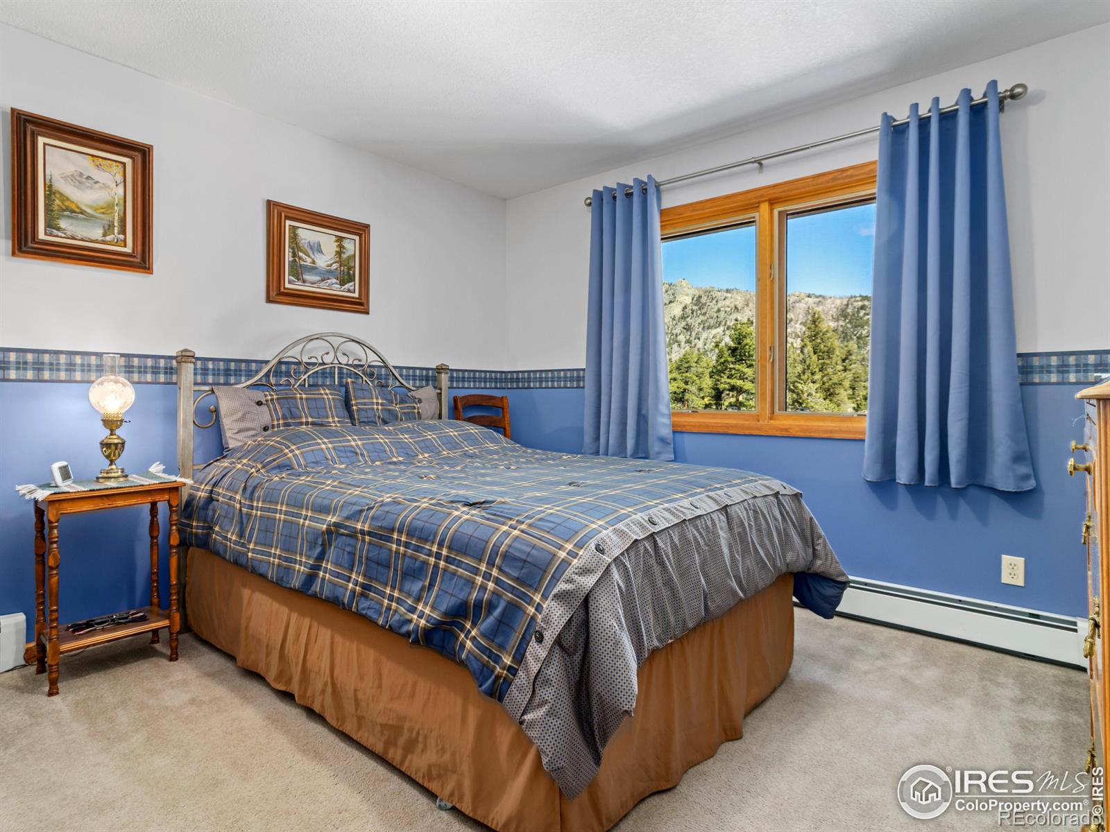 MLS Image #28 for 3807  dollar lake drive,estes park, Colorado