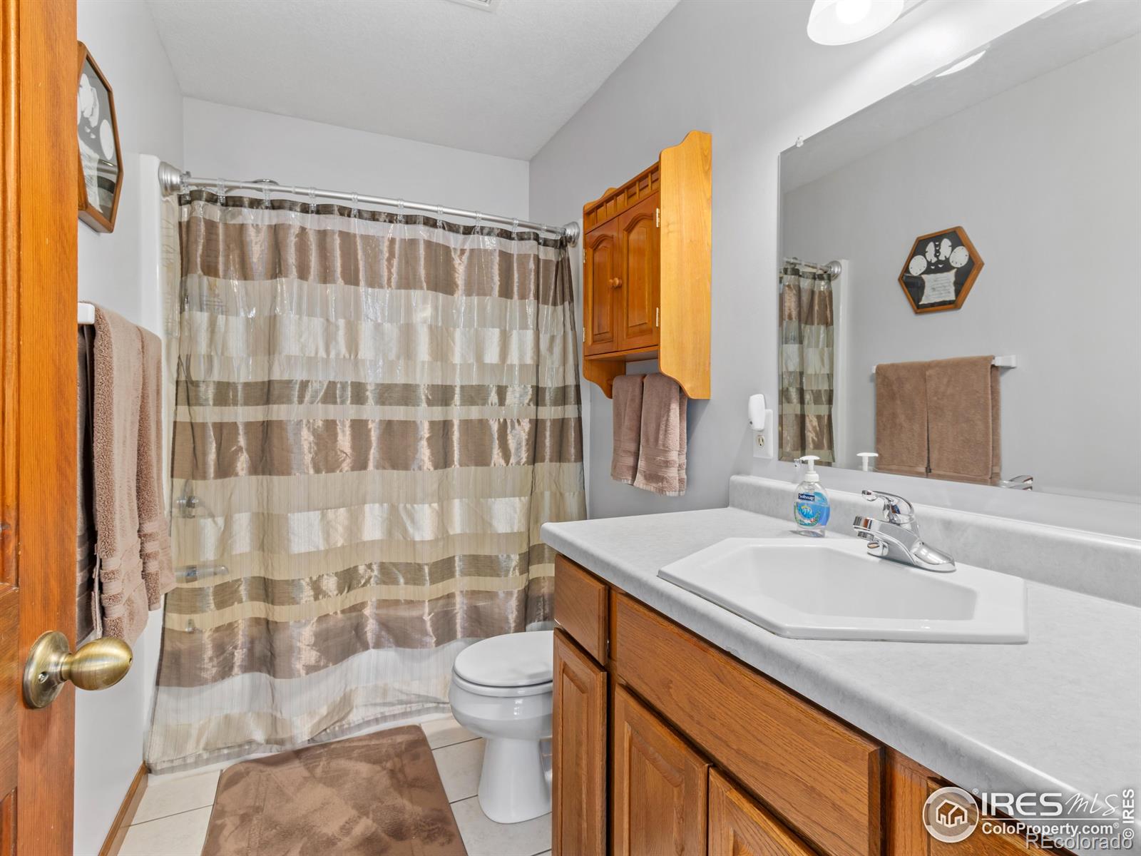 MLS Image #29 for 3807  dollar lake drive,estes park, Colorado