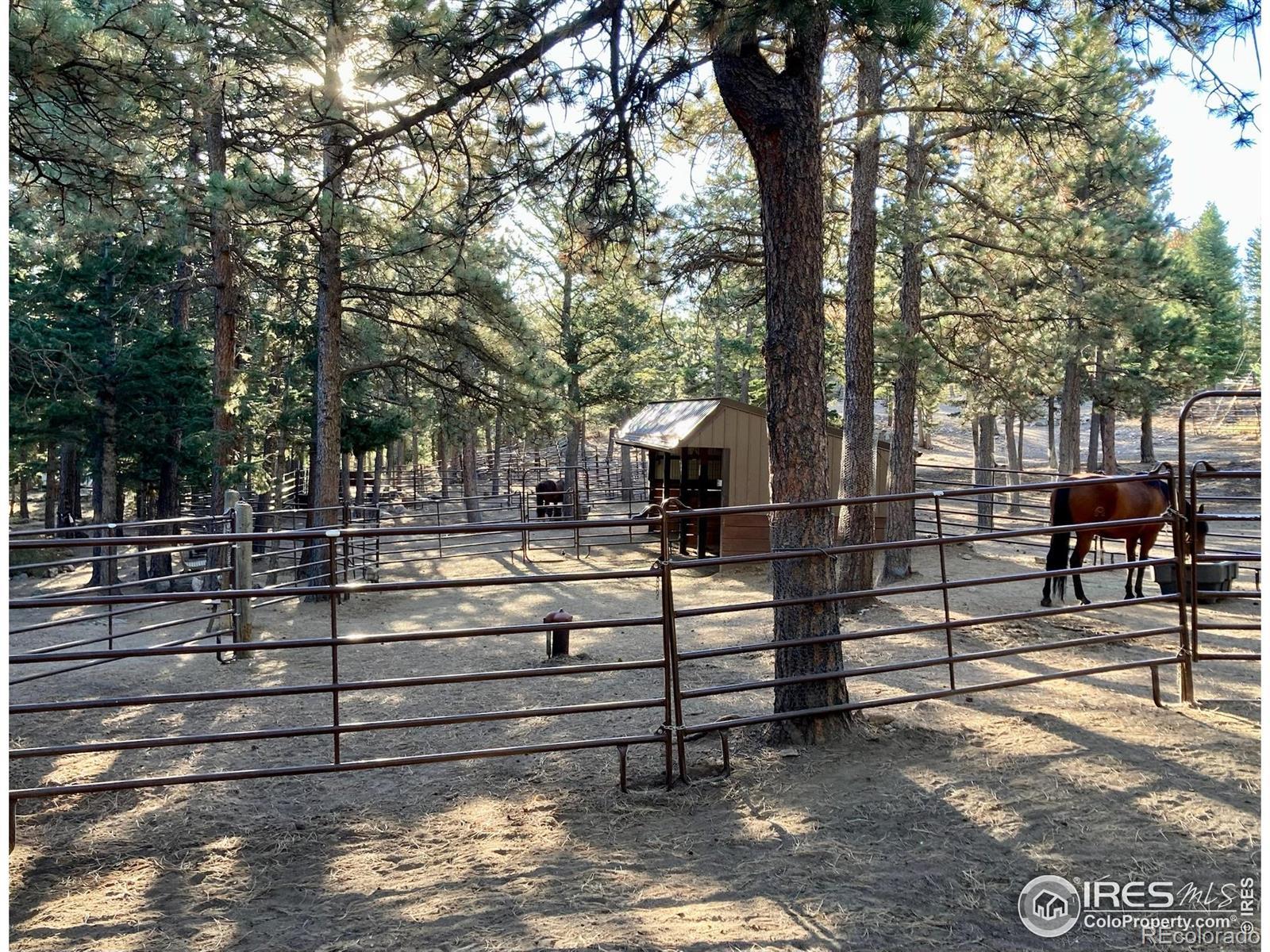 MLS Image #2 for 133  mine lane,boulder, Colorado