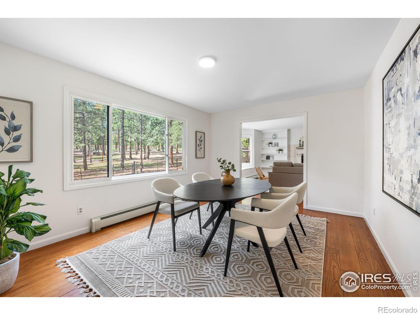 MLS Image #6 for 133  mine lane,boulder, Colorado