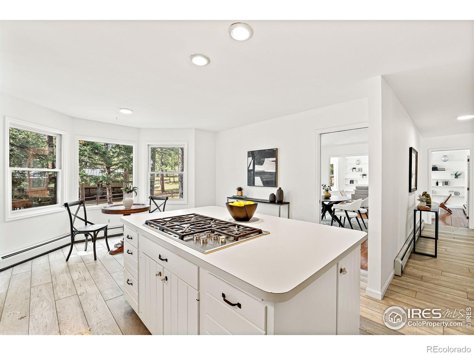 MLS Image #9 for 133  mine lane,boulder, Colorado