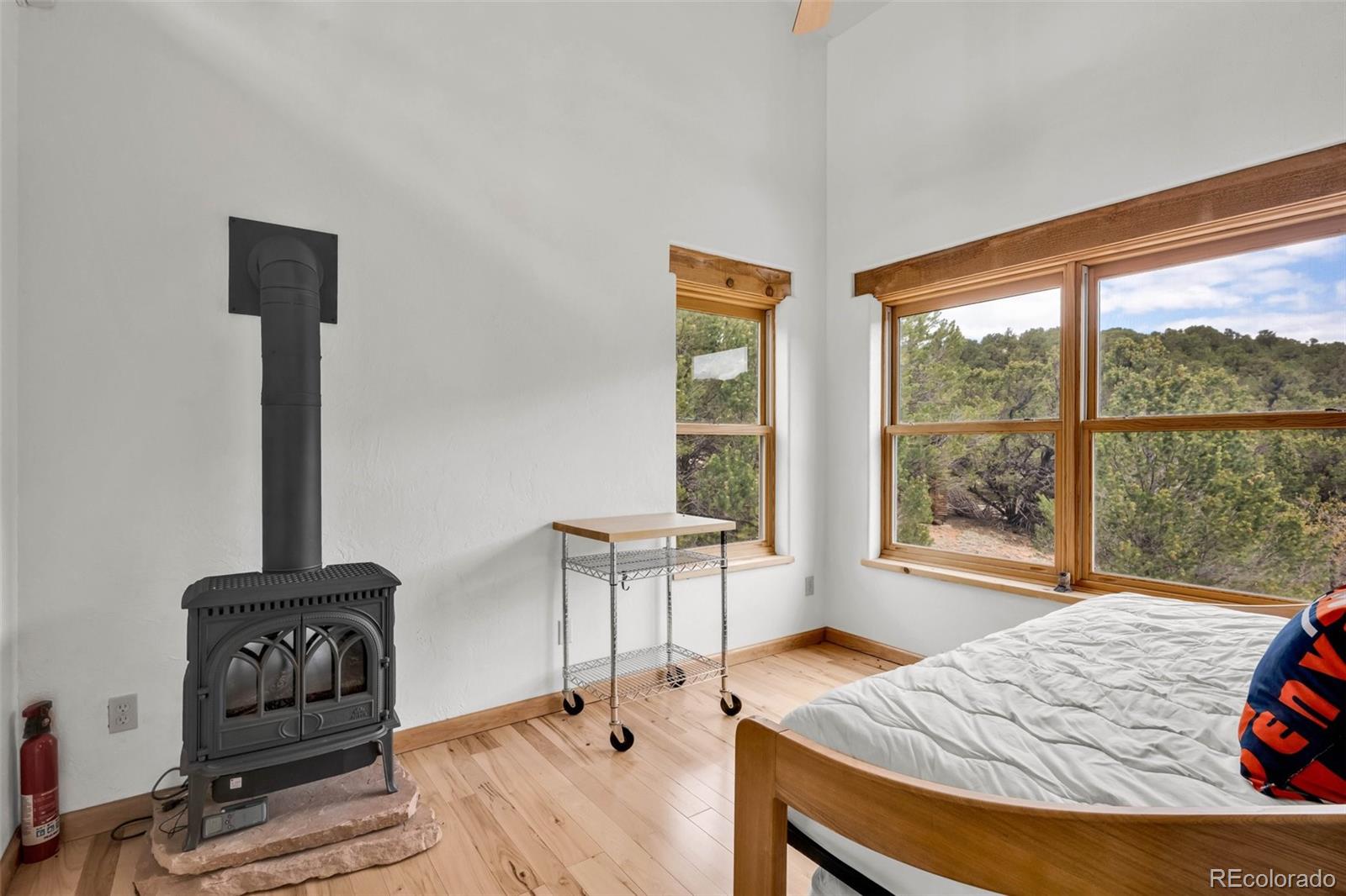 MLS Image #21 for 6214  county road 255 ,westcliffe, Colorado