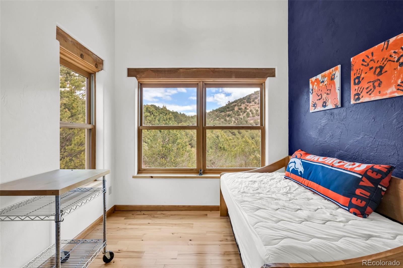 MLS Image #22 for 6214  county road 255 ,westcliffe, Colorado