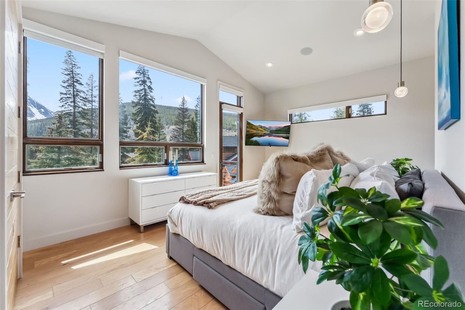 MLS Image #13 for 427  whispering pines circle,breckenridge, Colorado