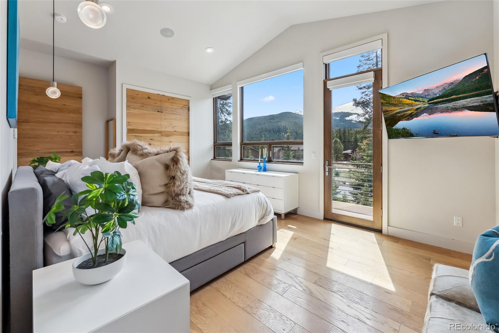 MLS Image #14 for 427  whispering pines circle,breckenridge, Colorado