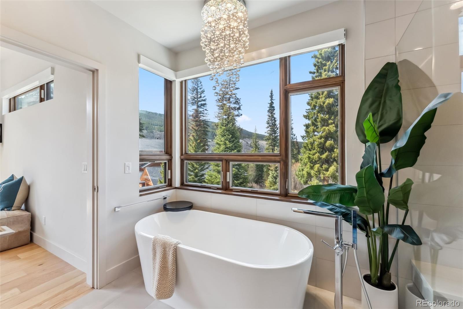 MLS Image #16 for 427  whispering pines circle,breckenridge, Colorado
