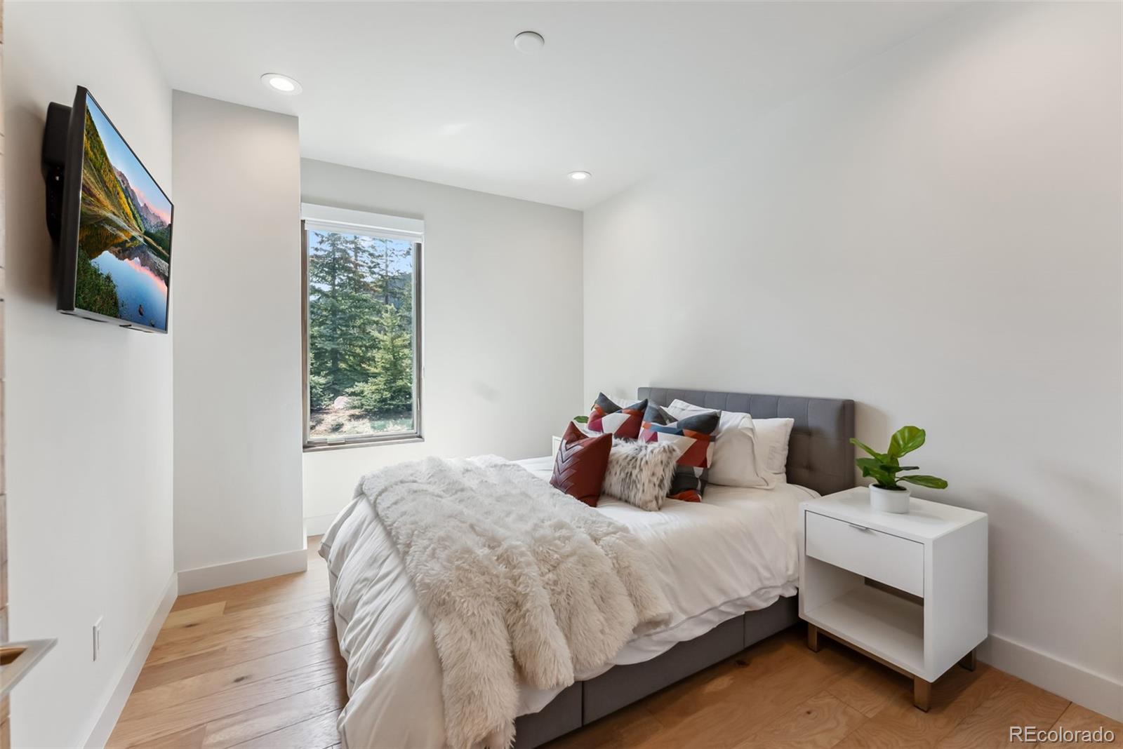 MLS Image #30 for 427  whispering pines circle,breckenridge, Colorado