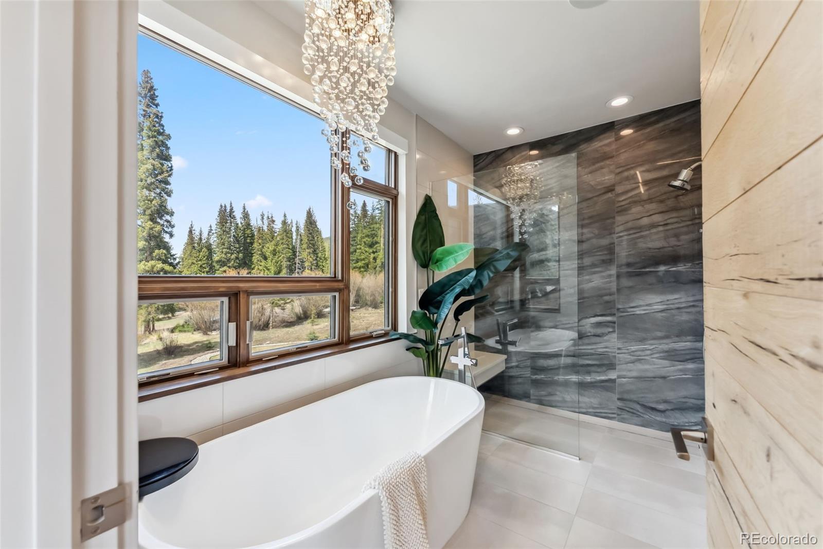 MLS Image #4 for 427  whispering pines circle,breckenridge, Colorado