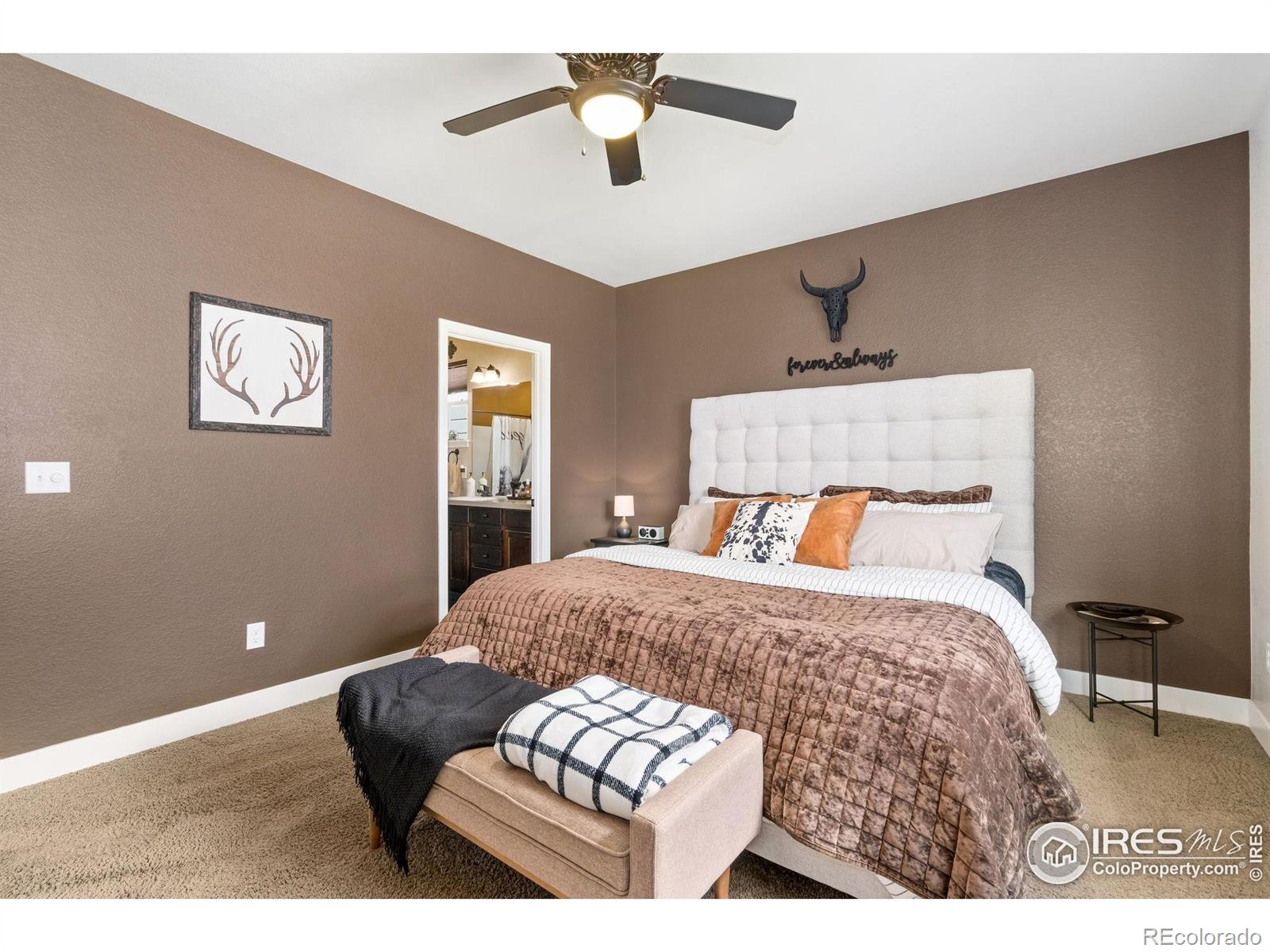 MLS Image #12 for 2150  mackinac street,fort collins, Colorado
