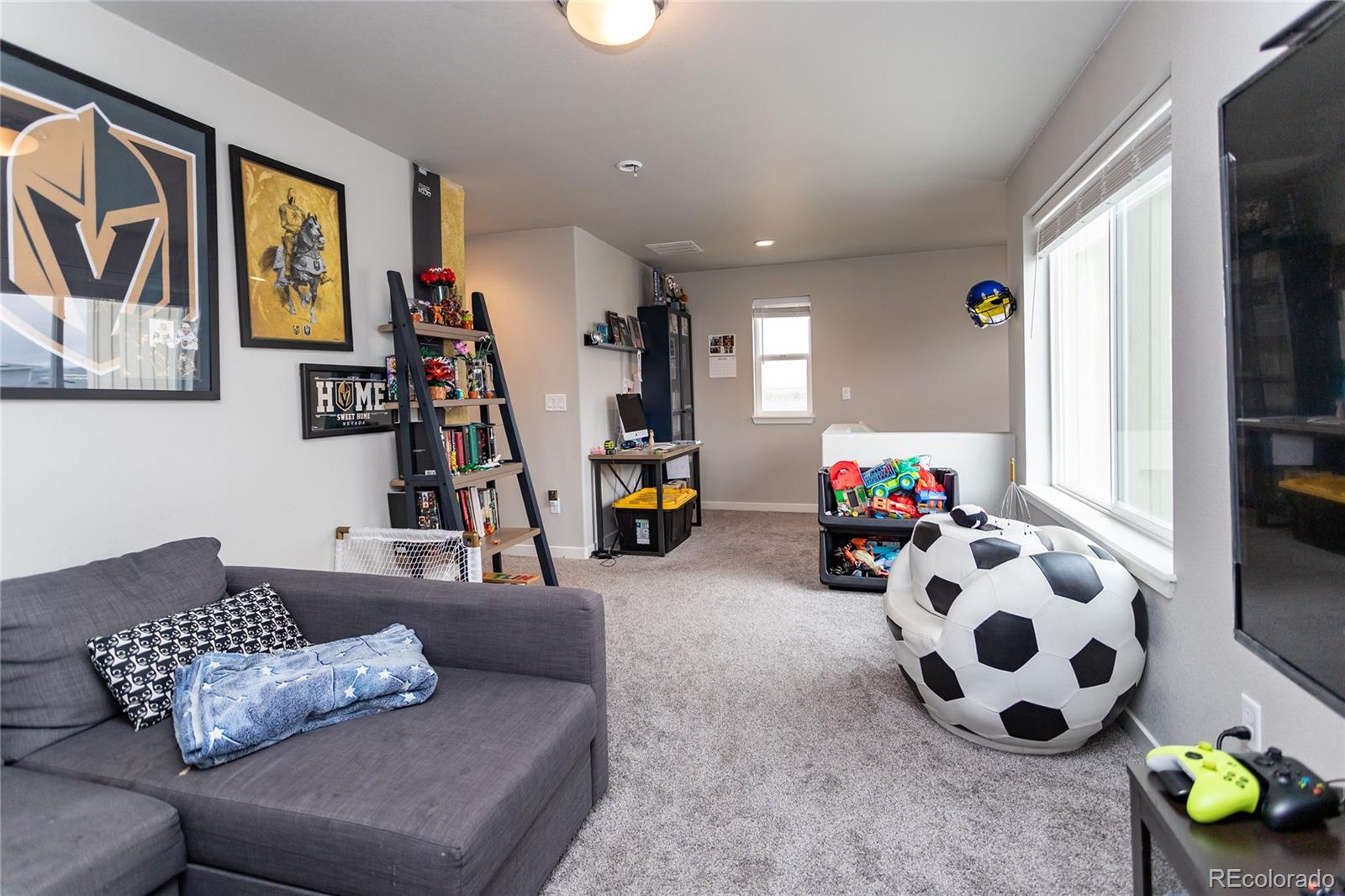 MLS Image #12 for 5672  tramore court,colorado springs, Colorado
