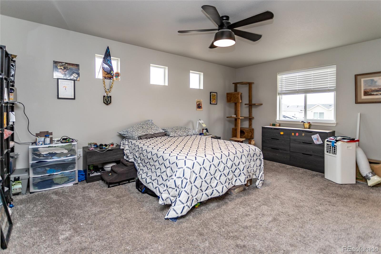 MLS Image #13 for 5672  tramore court,colorado springs, Colorado