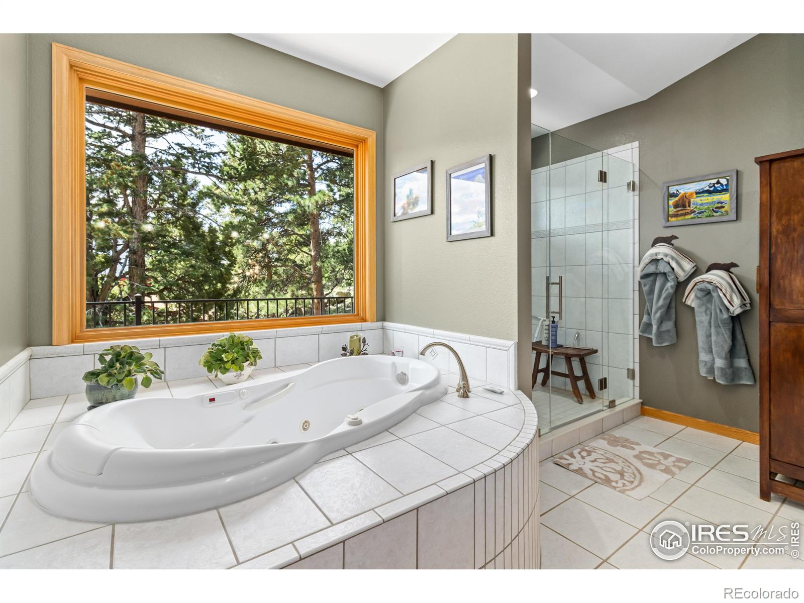 MLS Image #18 for 1341  koral court,estes park, Colorado