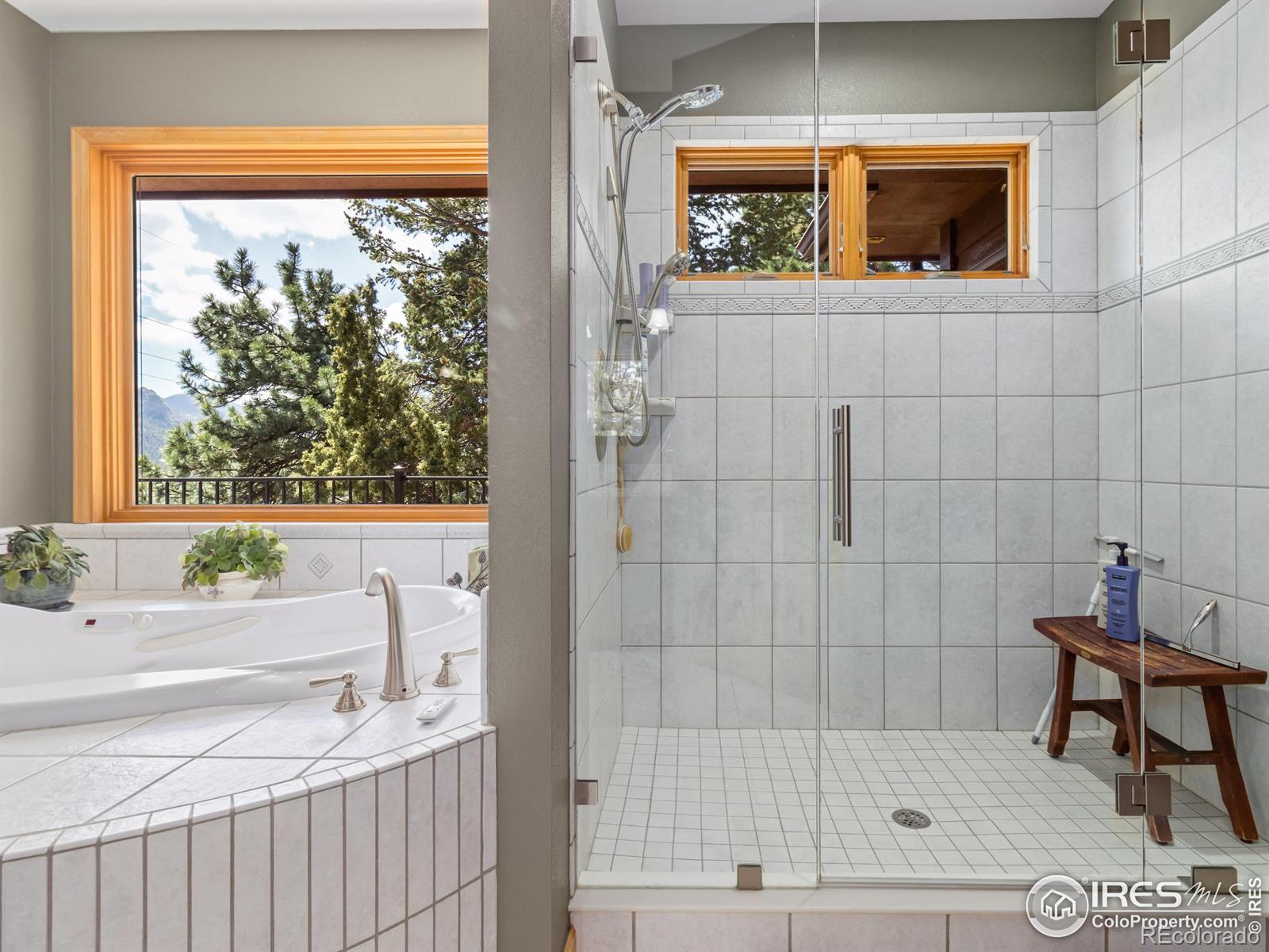 MLS Image #20 for 1341  koral court,estes park, Colorado