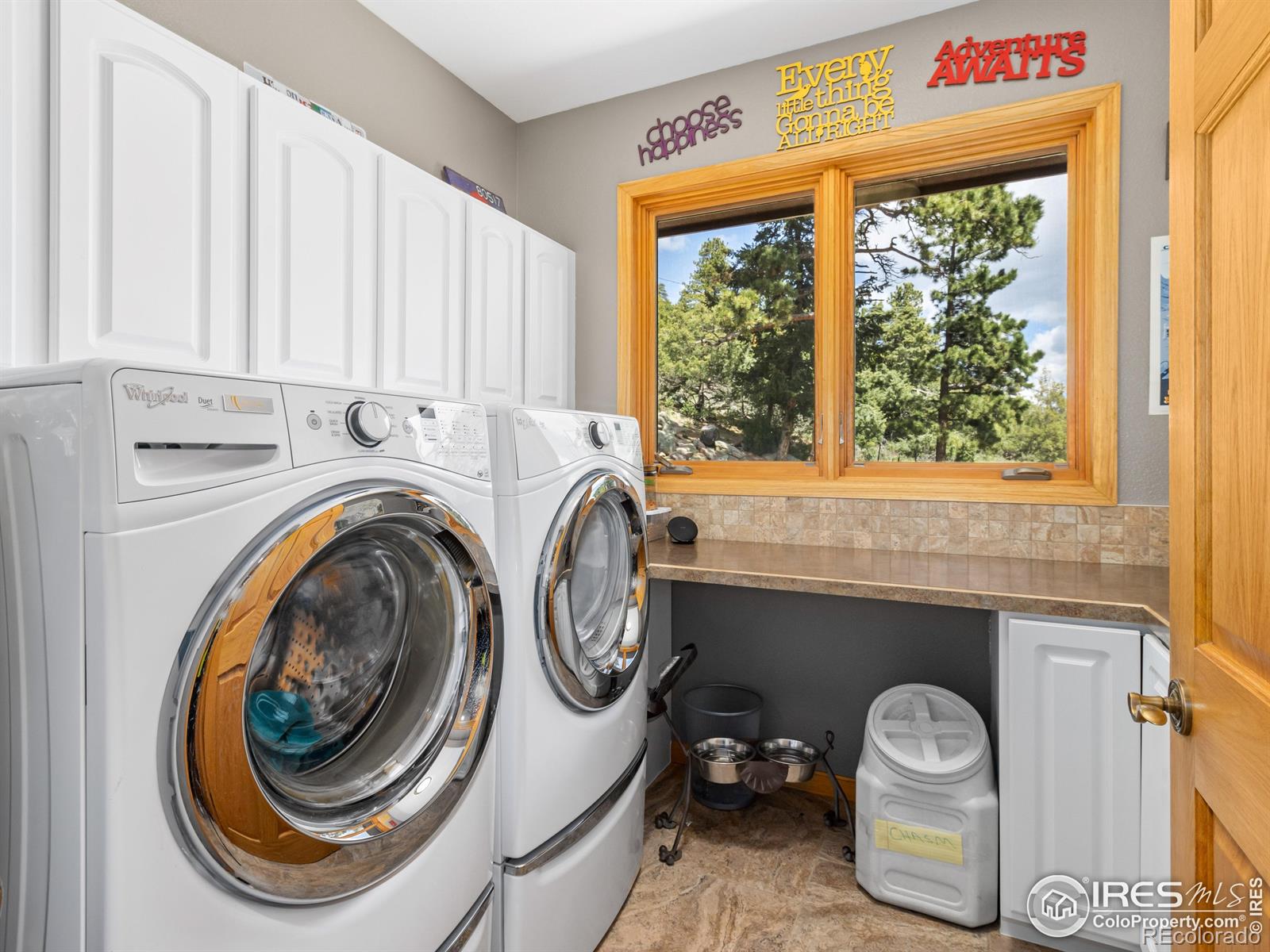 MLS Image #21 for 1341  koral court,estes park, Colorado
