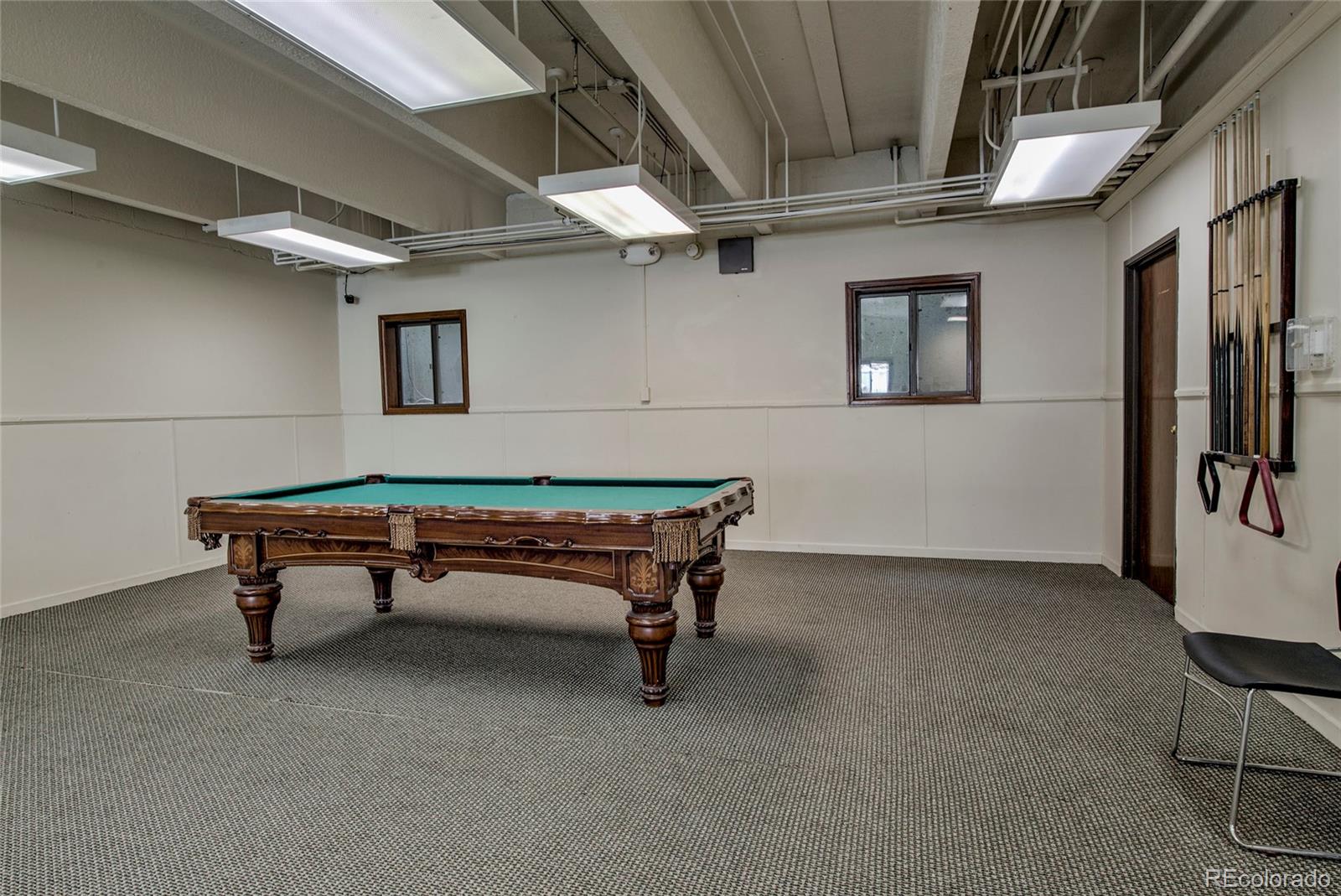 MLS Image #28 for 1153  straight creek drive,dillon, Colorado