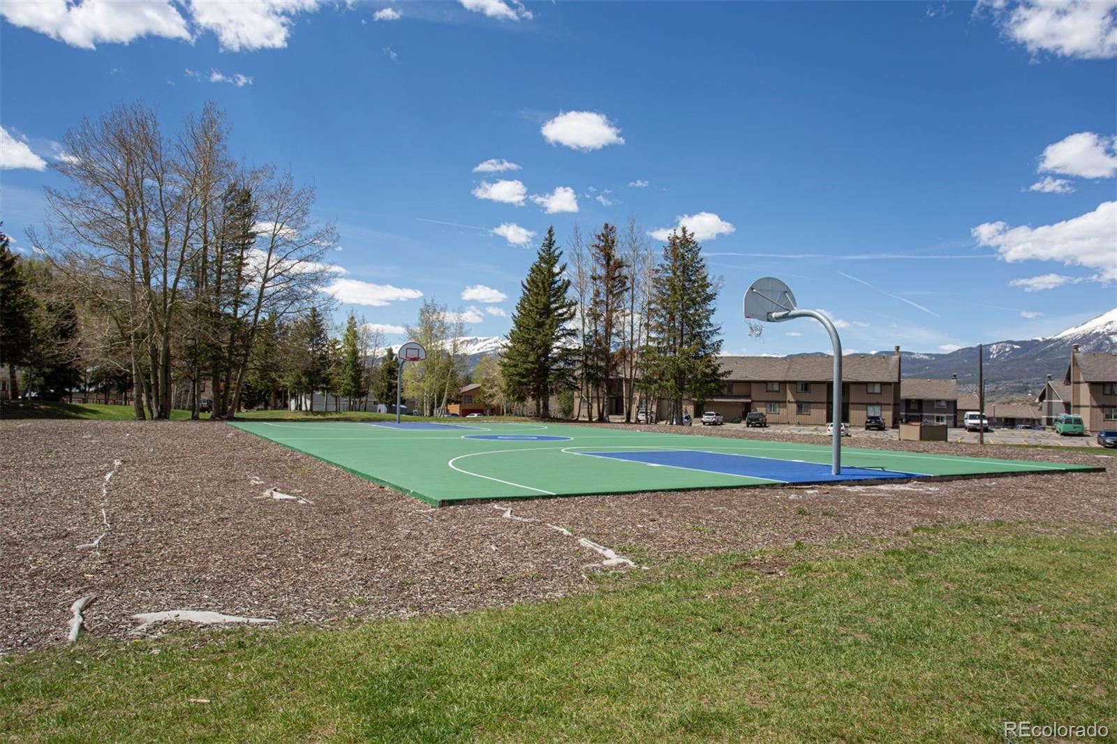 MLS Image #36 for 1153  straight creek drive,dillon, Colorado