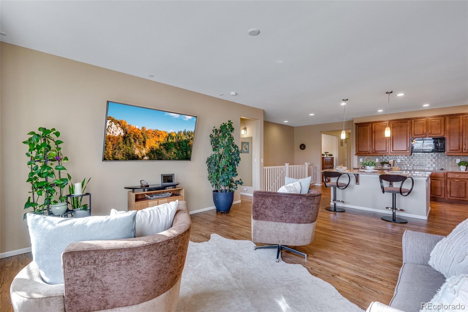 MLS Image #21 for 4000  donnington circle,castle rock, Colorado