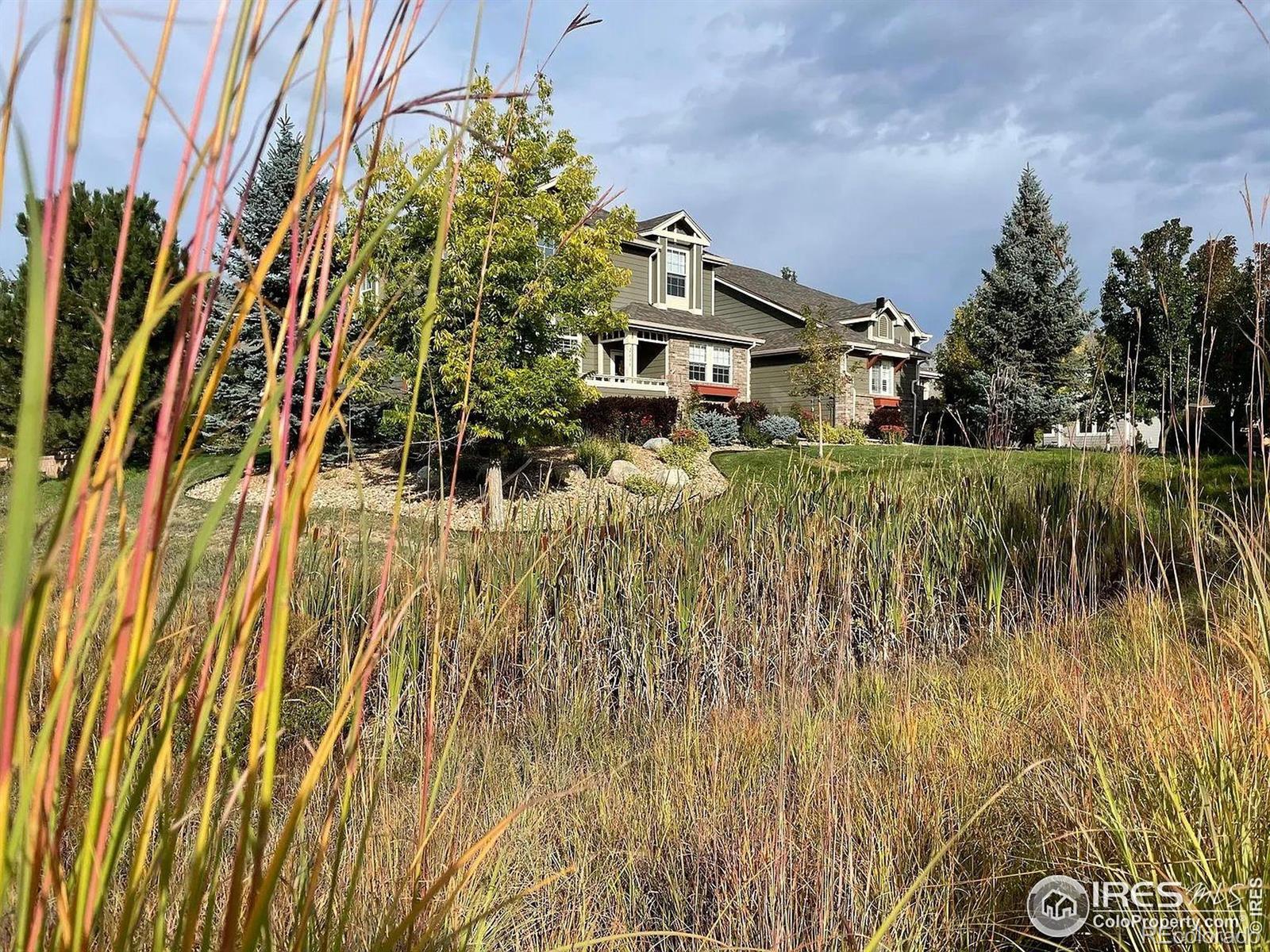 MLS Image #5 for 2639  county fair lane,fort collins, Colorado