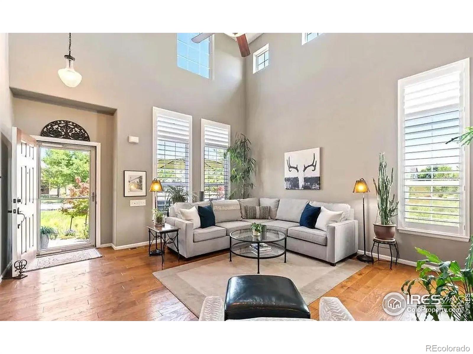 MLS Image #6 for 2639  county fair lane,fort collins, Colorado
