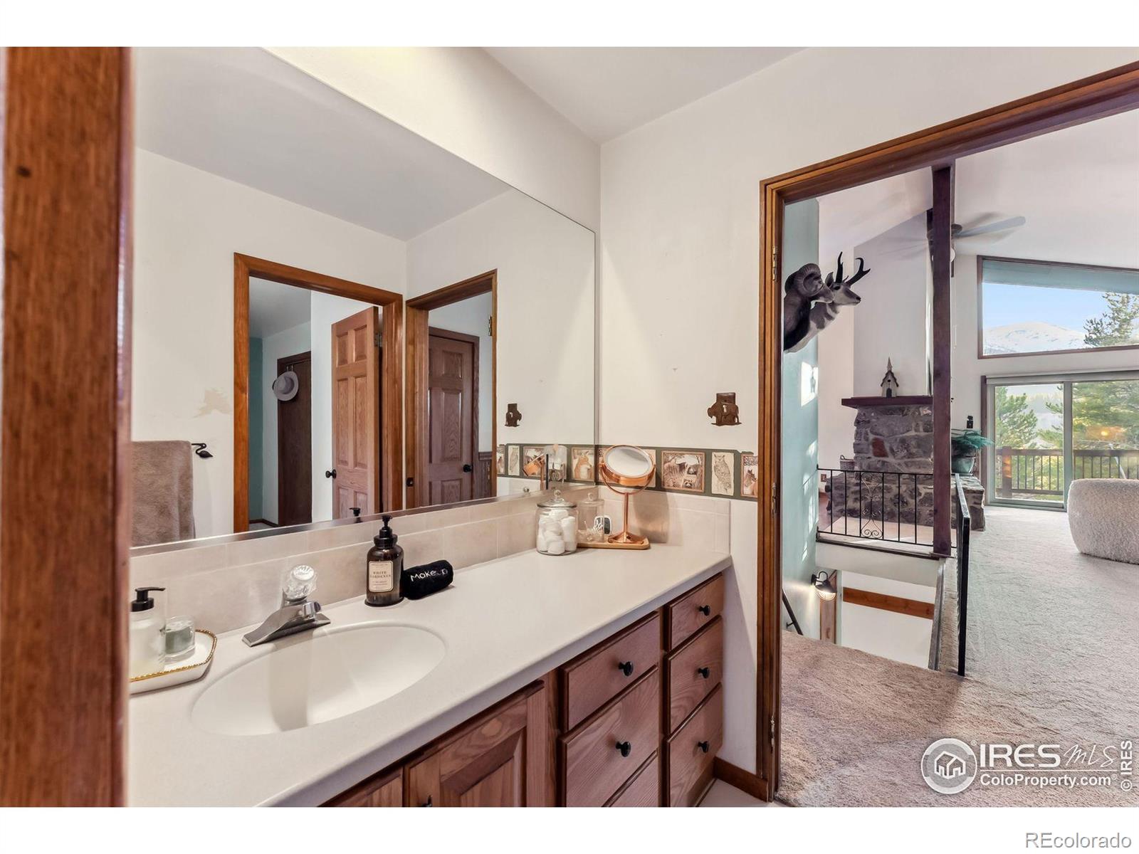 MLS Image #12 for 216 n gold flake ,breckenridge, Colorado