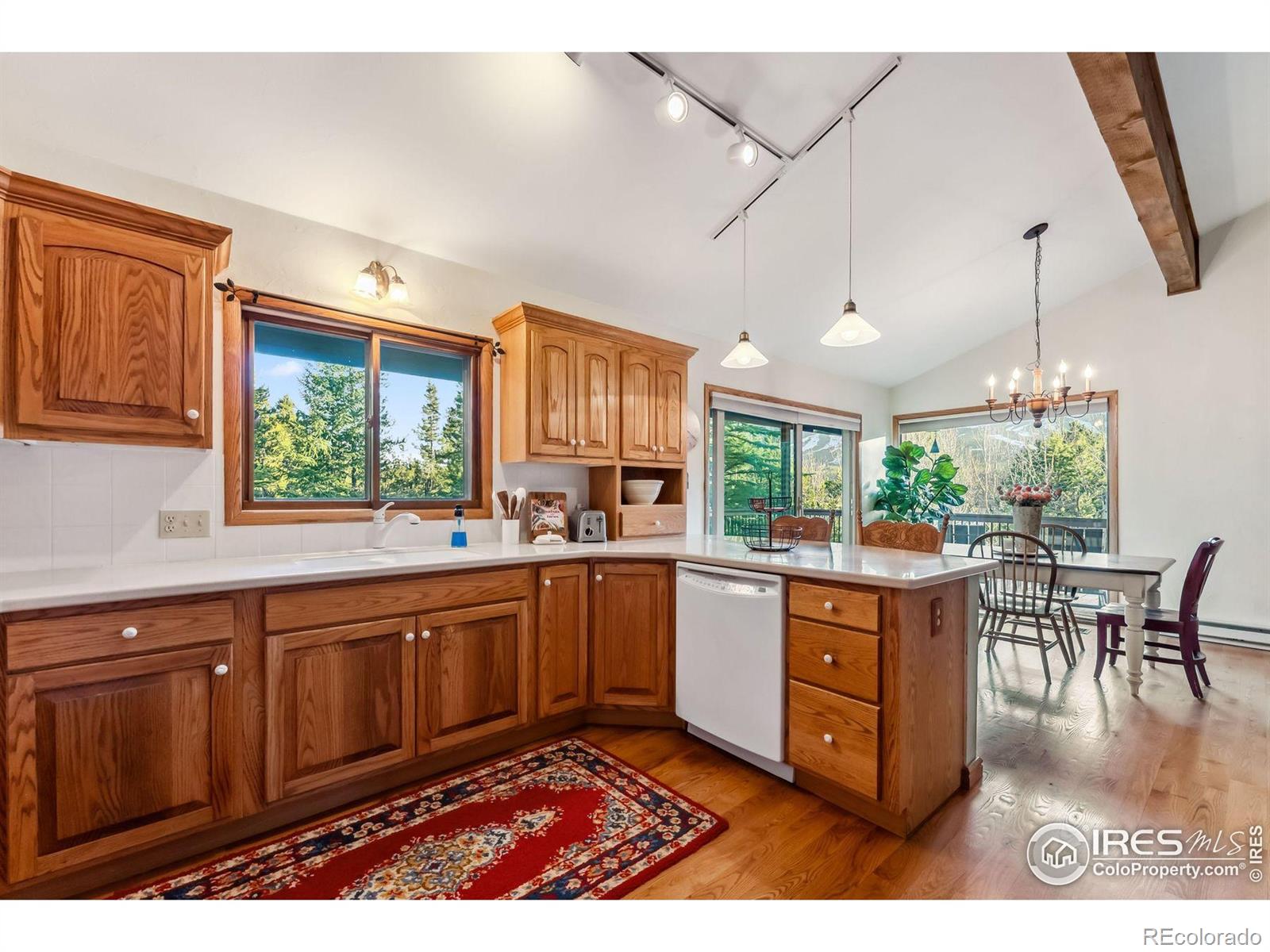 MLS Image #16 for 216 n gold flake ,breckenridge, Colorado