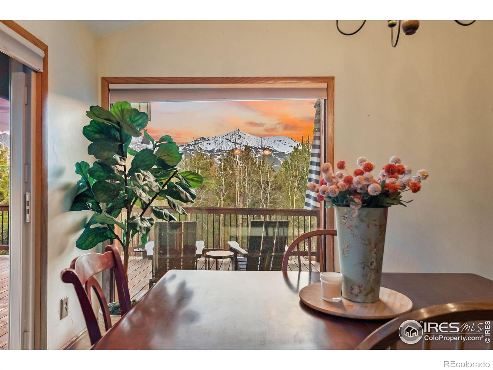 MLS Image #30 for 216 n gold flake ,breckenridge, Colorado