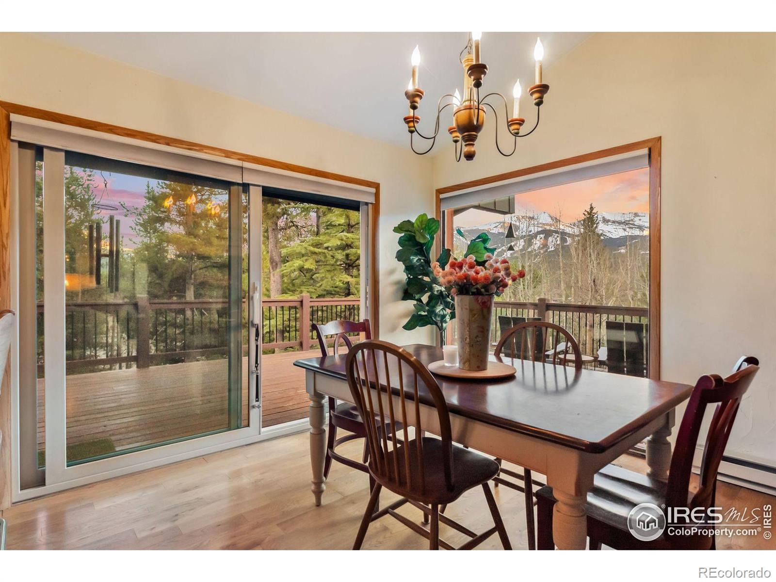 MLS Image #32 for 216 n gold flake ,breckenridge, Colorado