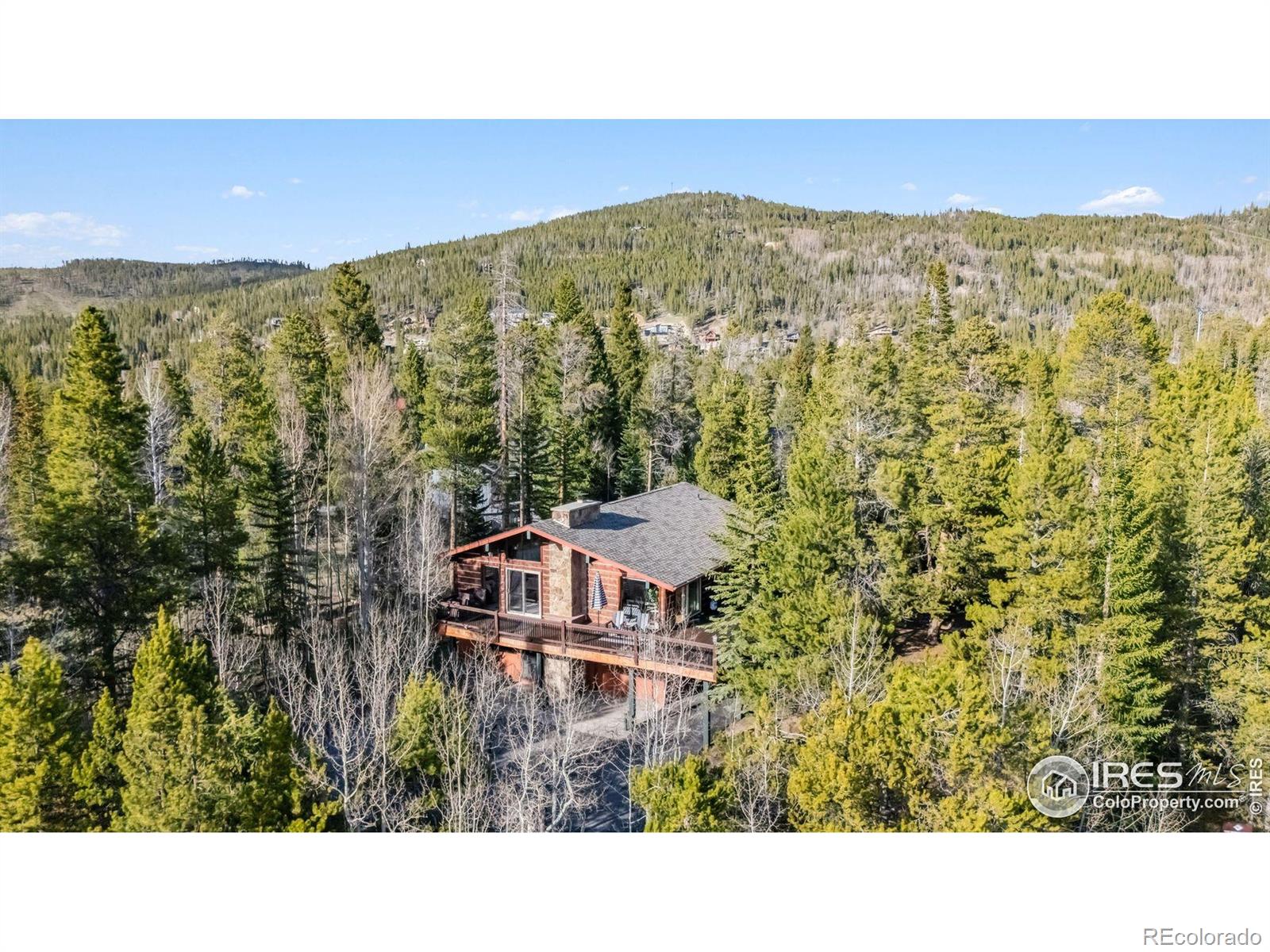 MLS Image #35 for 216 n gold flake ,breckenridge, Colorado