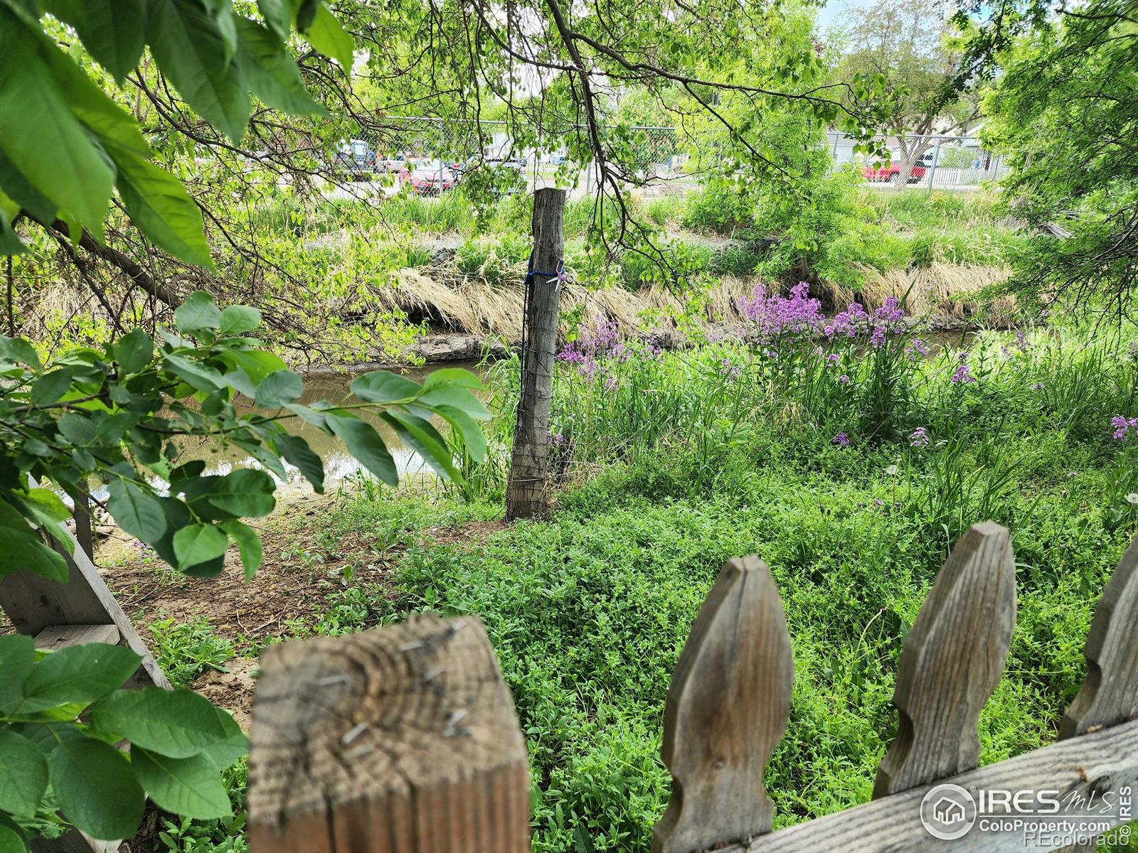 MLS Image #4 for 936 e 4th street,loveland, Colorado