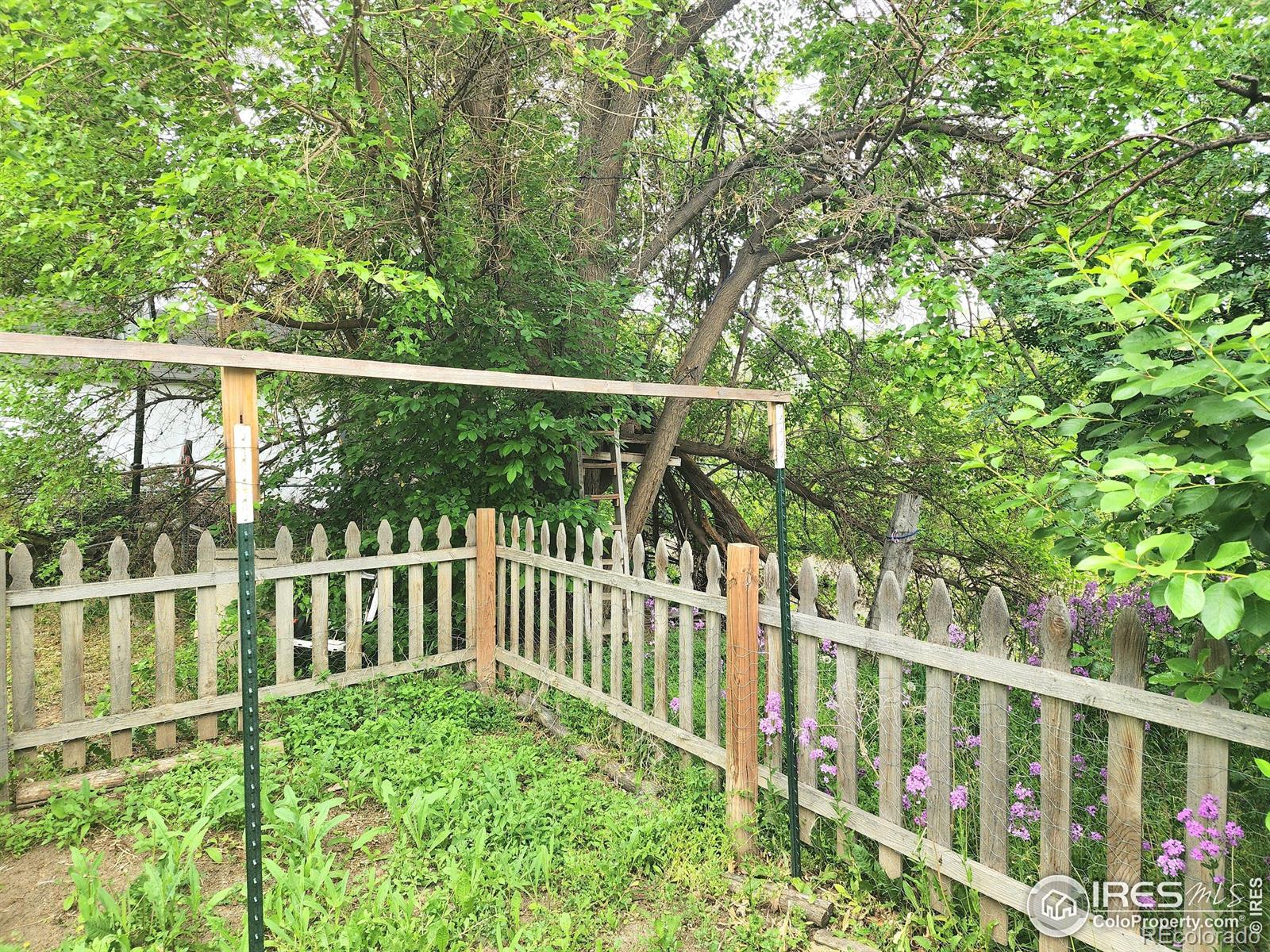 MLS Image #8 for 936 e 4th street,loveland, Colorado
