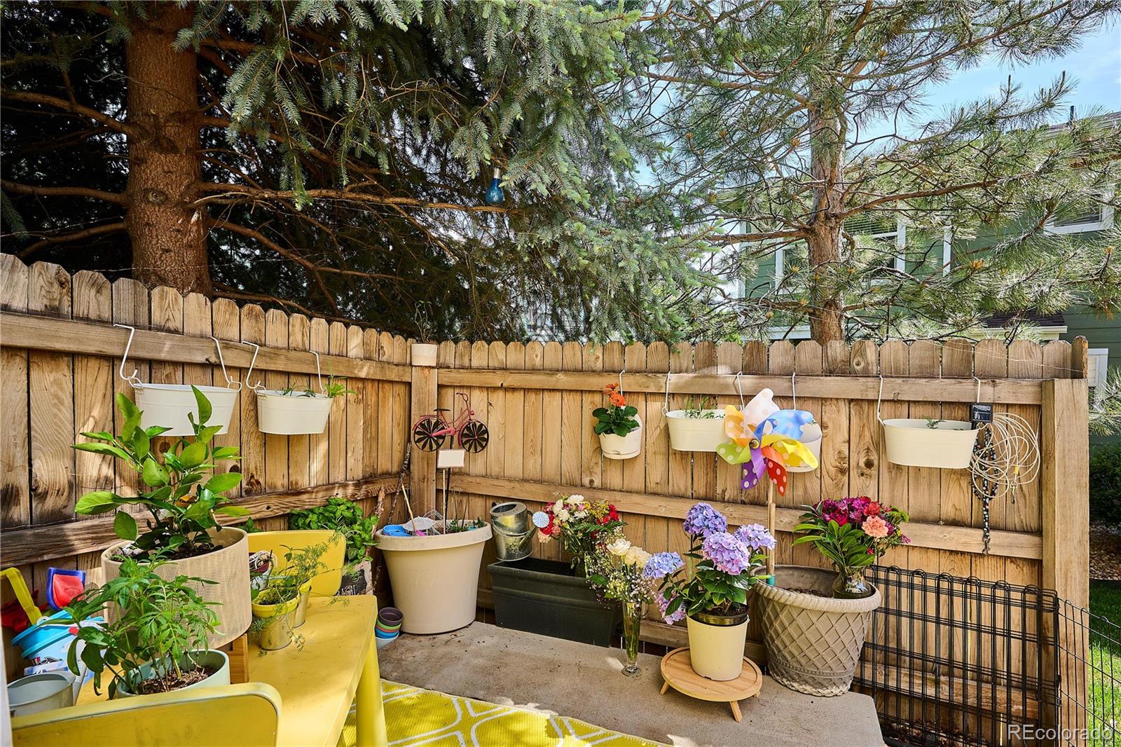 MLS Image #27 for 9066  apache plume drive e,parker, Colorado