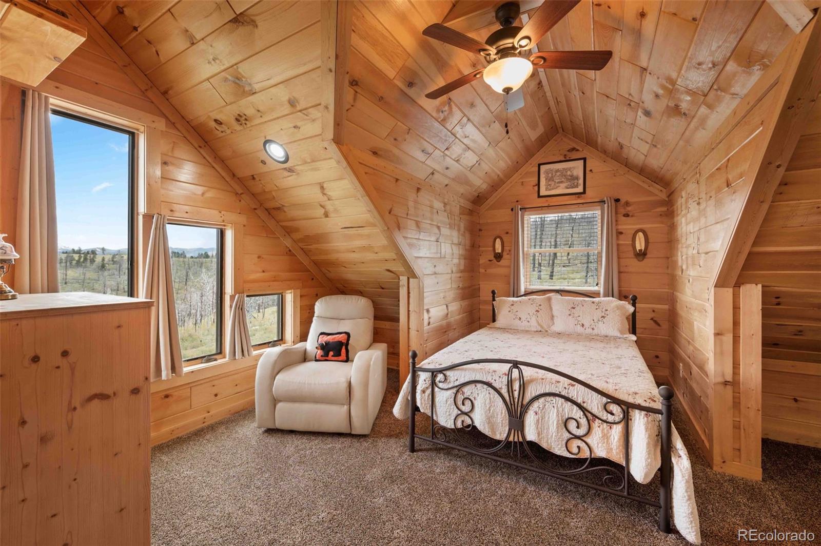 MLS Image #22 for 318  schierl road,fort garland, Colorado