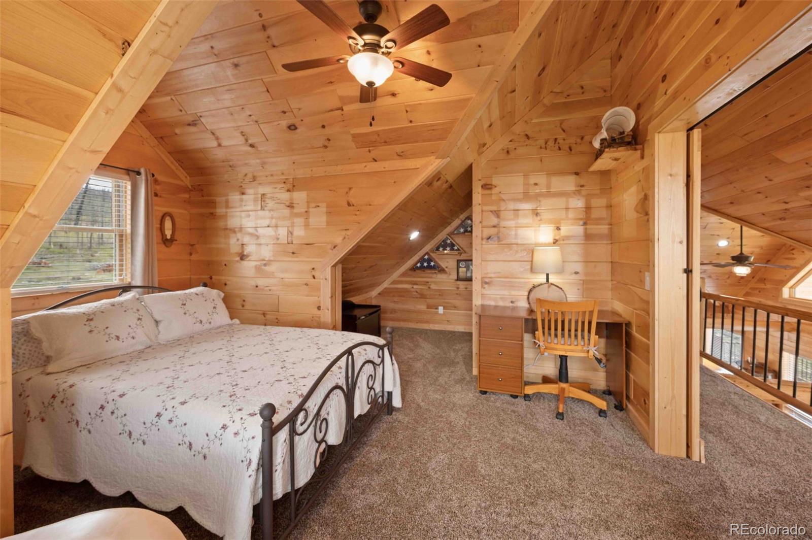 MLS Image #23 for 318  schierl road,fort garland, Colorado