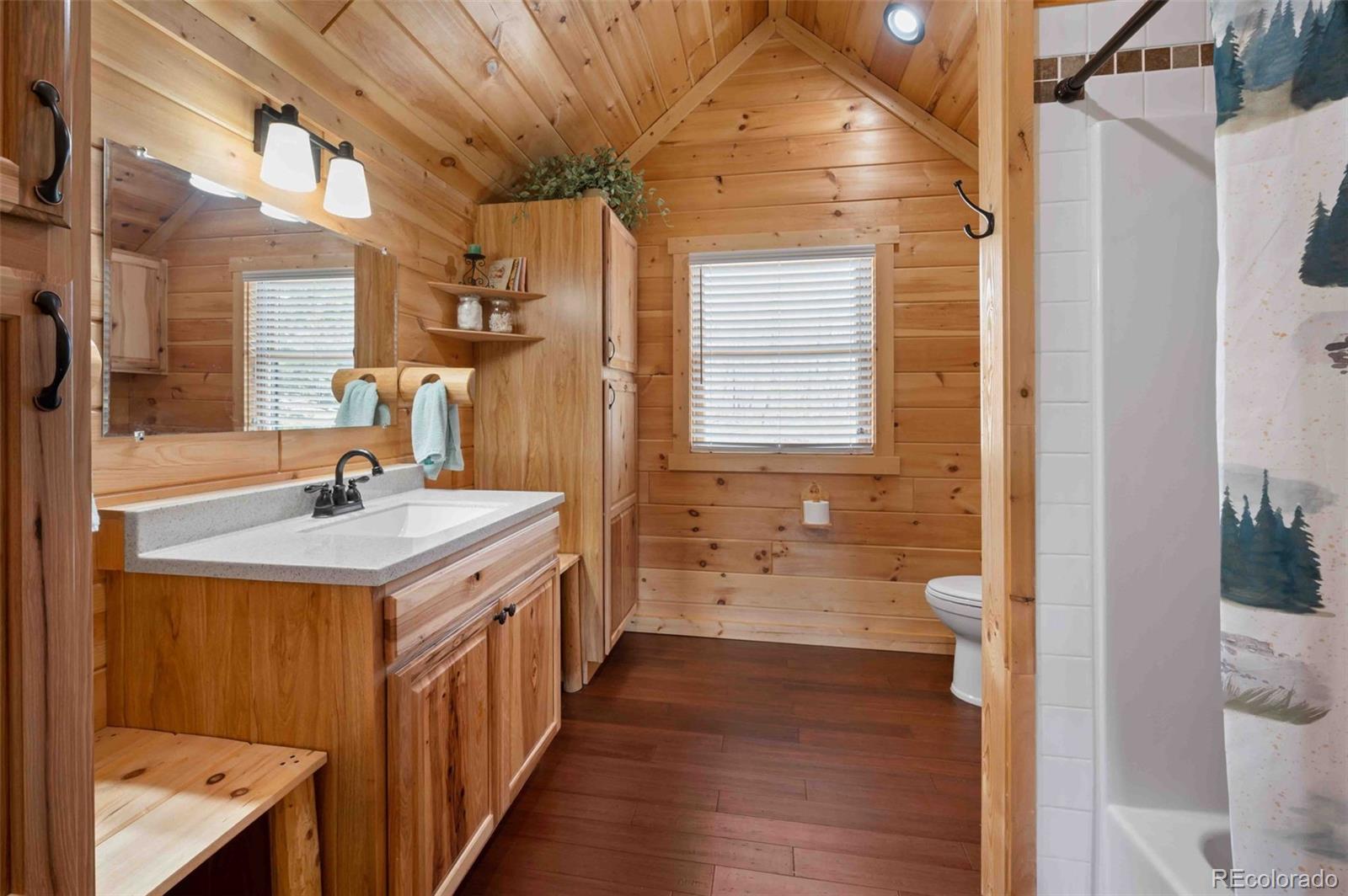 MLS Image #24 for 318  schierl road,fort garland, Colorado