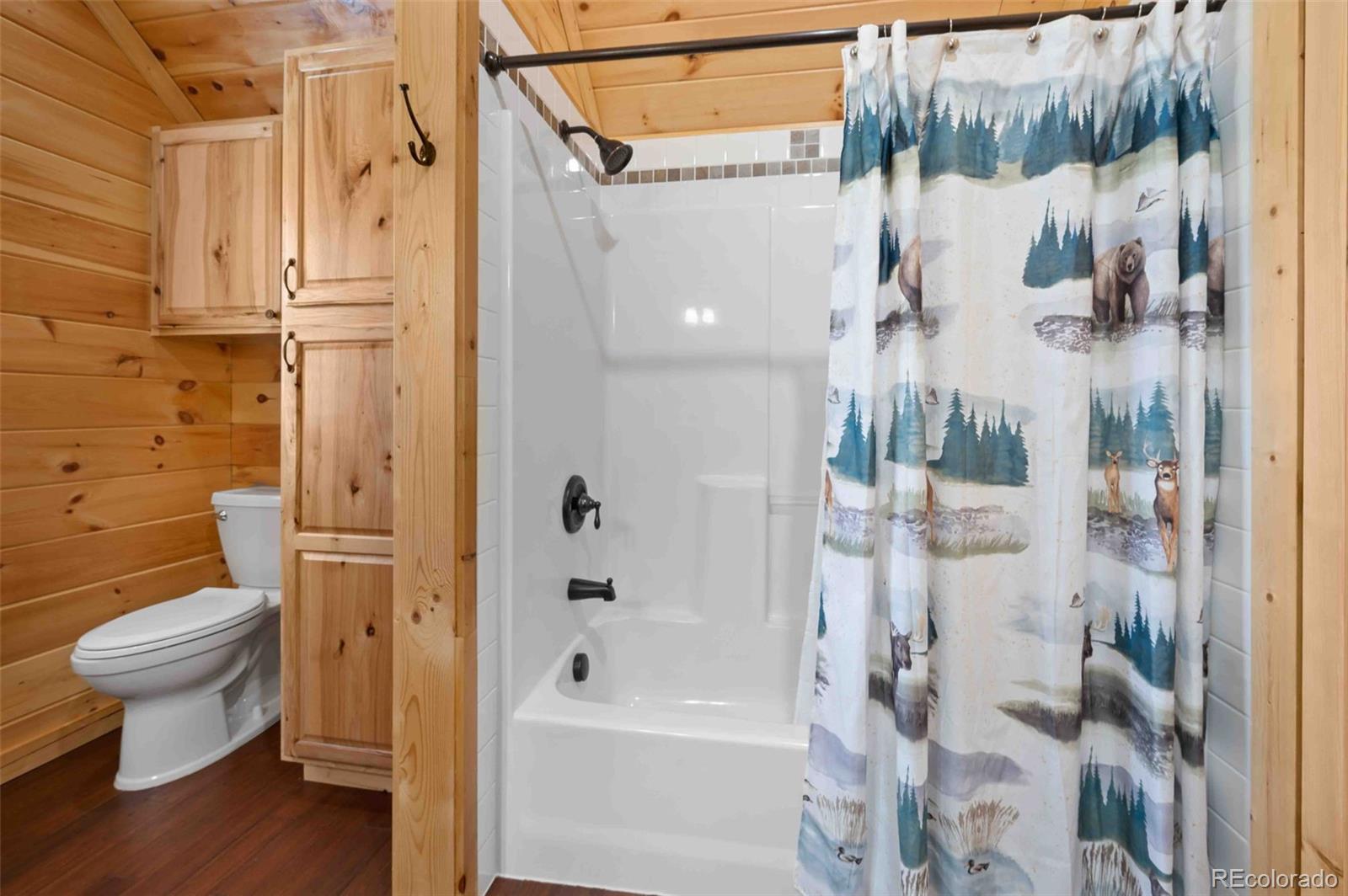 MLS Image #25 for 318  schierl road,fort garland, Colorado