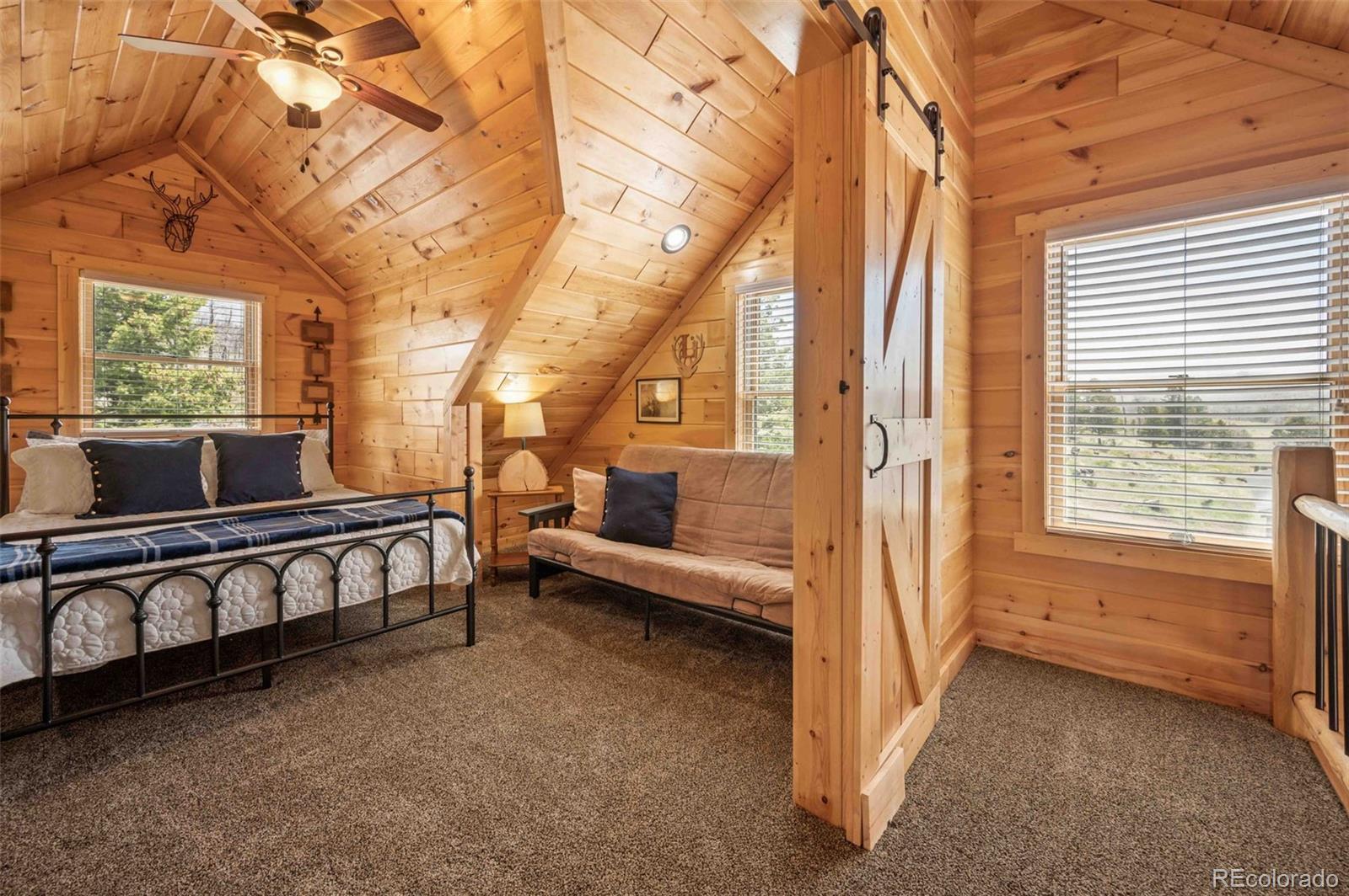 MLS Image #26 for 318  schierl road,fort garland, Colorado