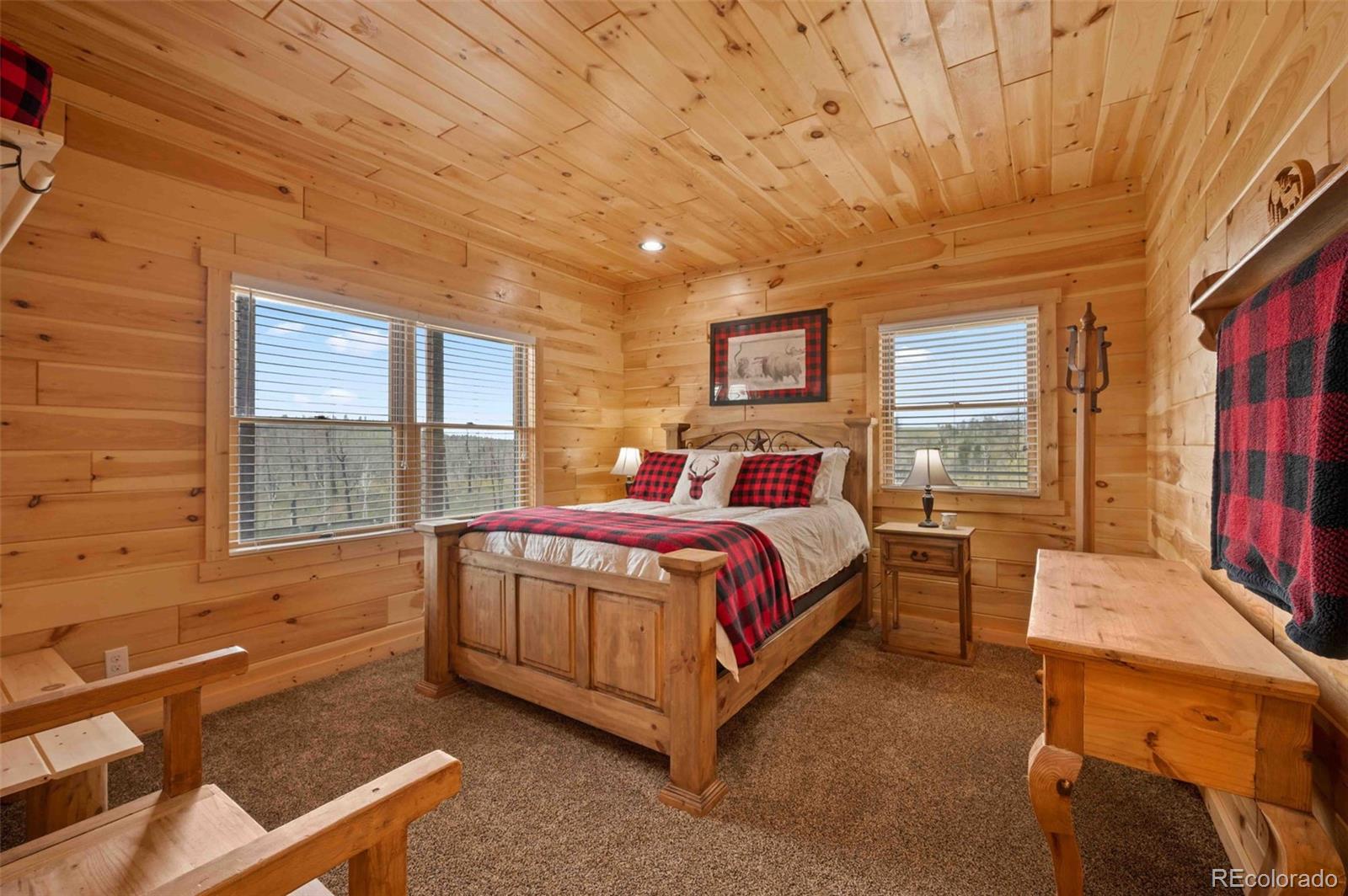 MLS Image #30 for 318  schierl road,fort garland, Colorado