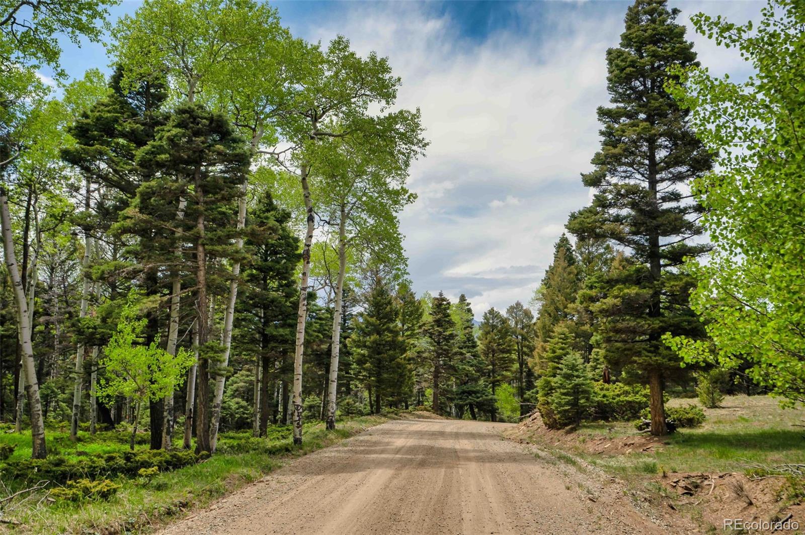 MLS Image #44 for 318  schierl road,fort garland, Colorado