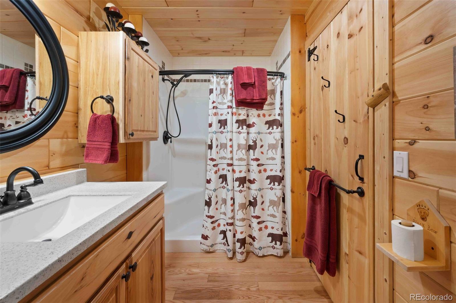 MLS Image #6 for 318  schierl road,fort garland, Colorado