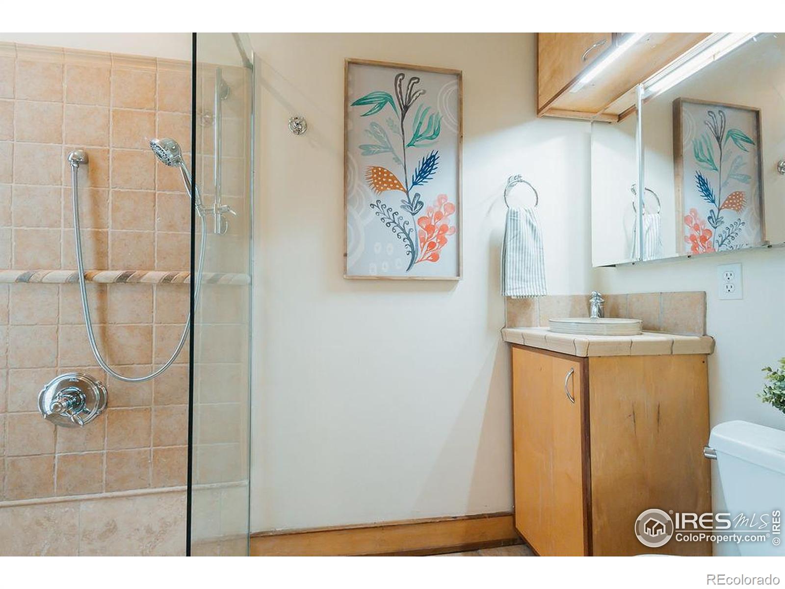 MLS Image #16 for 1155  monroe avenue,loveland, Colorado