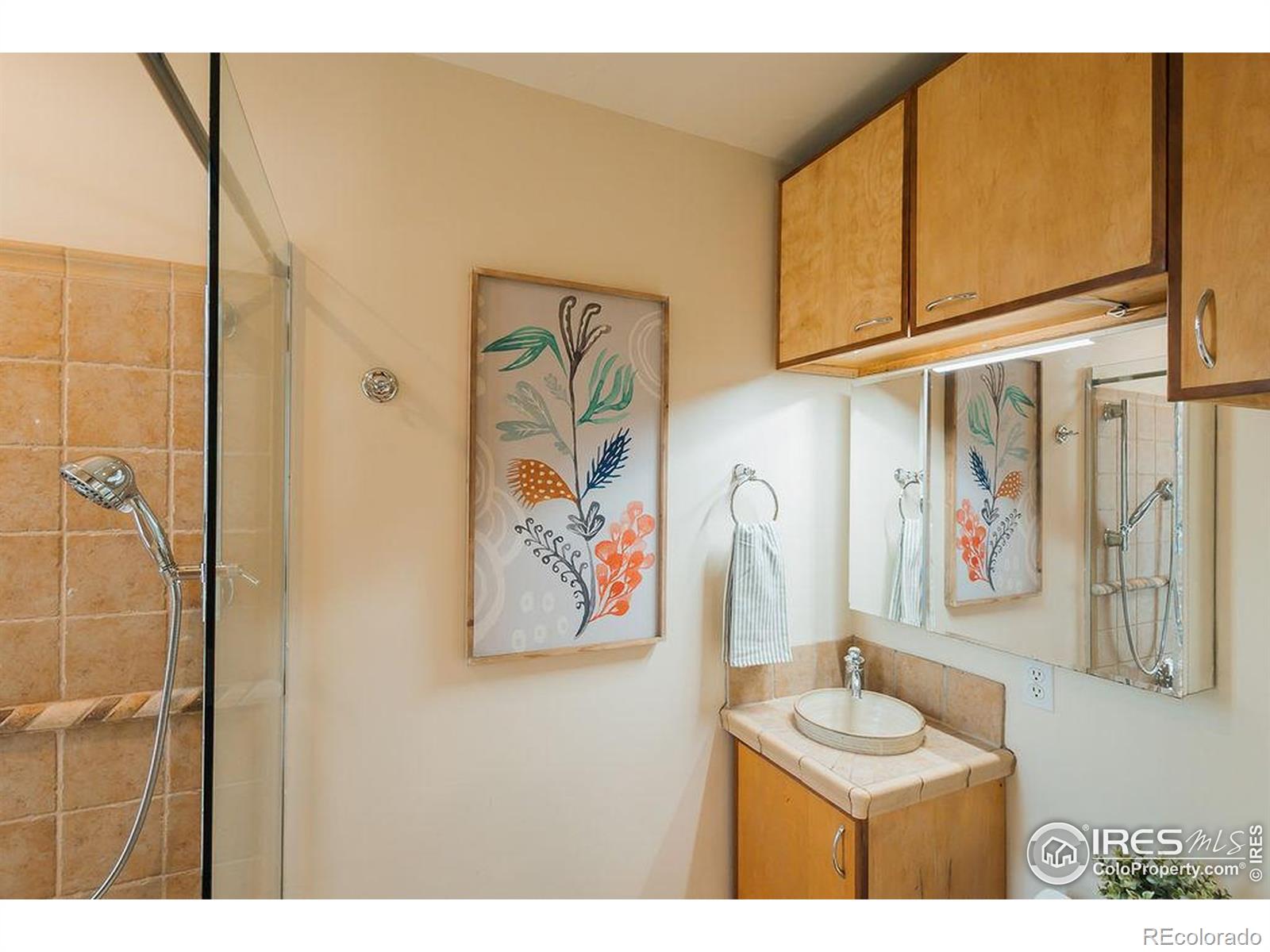 MLS Image #17 for 1155  monroe avenue,loveland, Colorado