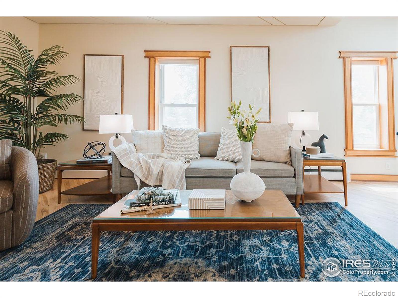 MLS Image #19 for 1155  monroe avenue,loveland, Colorado