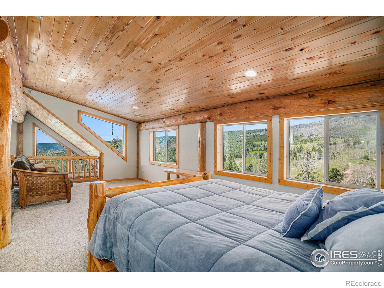 MLS Image #18 for 535  meadows drive,drake, Colorado