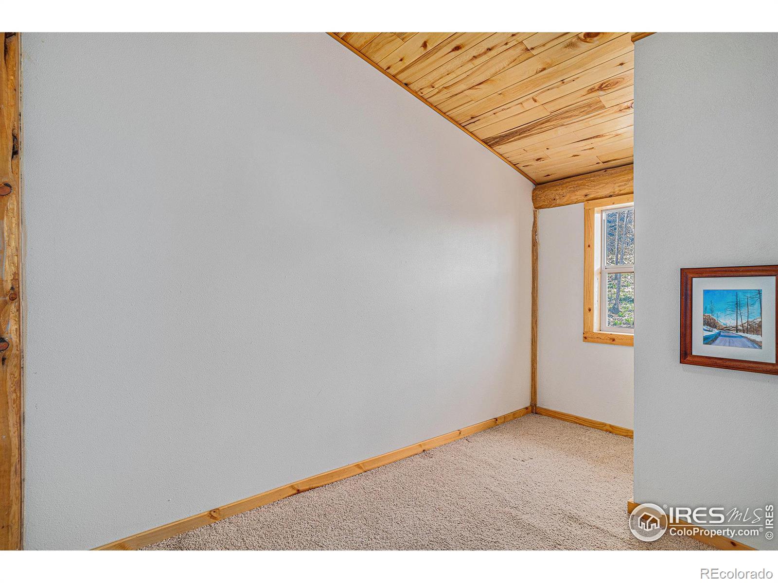 MLS Image #19 for 535  meadows drive,drake, Colorado