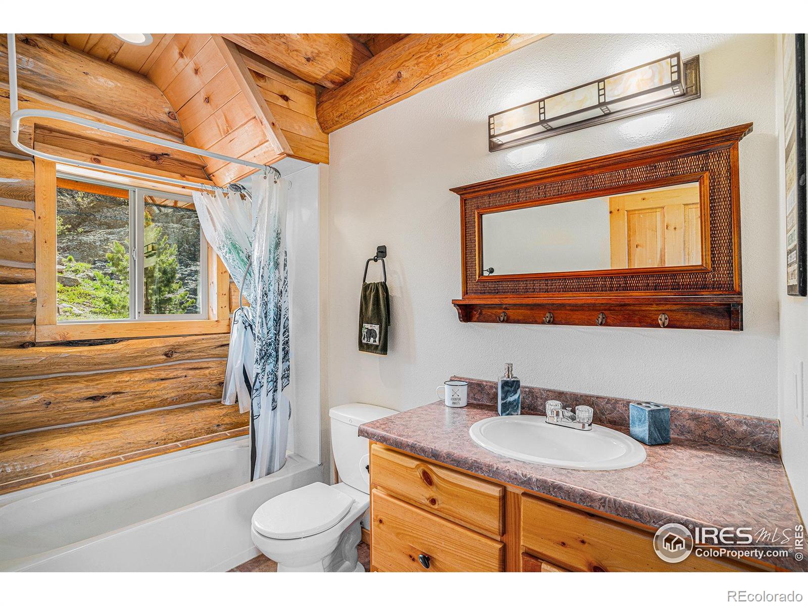 MLS Image #20 for 535  meadows drive,drake, Colorado