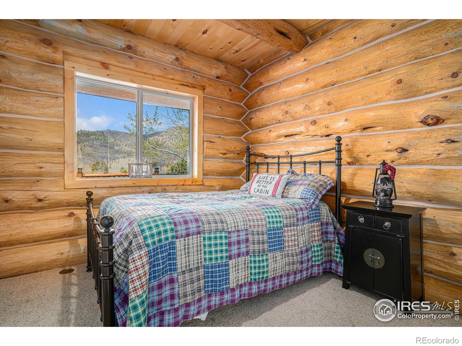MLS Image #21 for 535  meadows drive,drake, Colorado