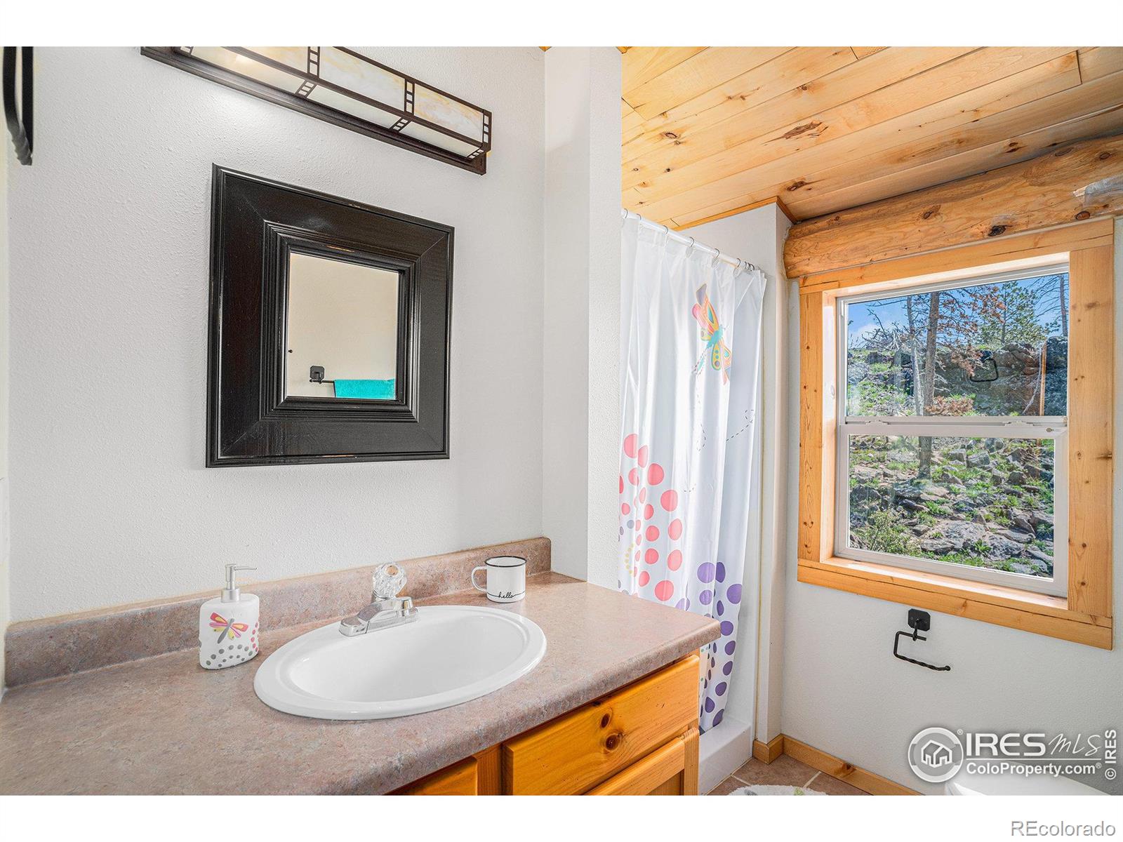 MLS Image #22 for 535  meadows drive,drake, Colorado