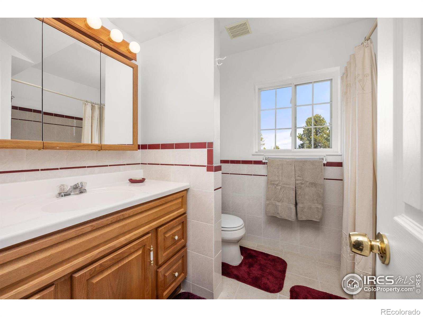 MLS Image #18 for 266  gap road,black hawk, Colorado